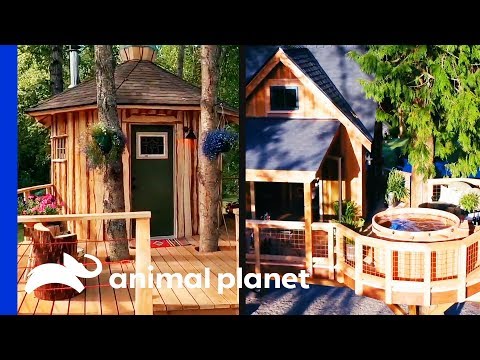 Time Lapse Kentucky Climber S Cottage Treehouse Masters Youtube