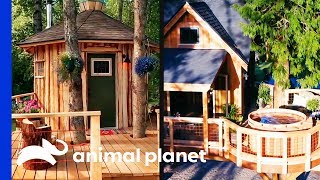 Super Chill Sauna vs. Hot Tub Rumpus Room! | Treehouse Masters