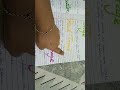 Physics part 3 chapter Light reflection and refraction CBSE