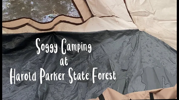 Soggy Camping at Harold Parker State Forest