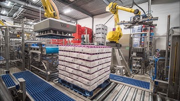 Palletizing and depalletizing frozen boxes / Pallet inverter - DGS Processing Solutions