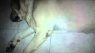 MOV04760.MP4