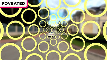 CUDA-Optimized real-time rendering of a Foveated Visual System