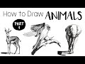 How to draw  sketch animals  part 1