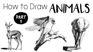 How to Draw & Sketch Animals  Part 1