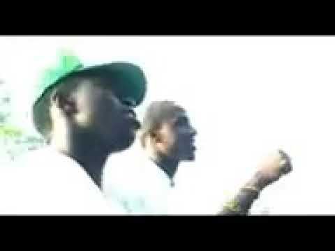 Nimekosa Voice Wonder