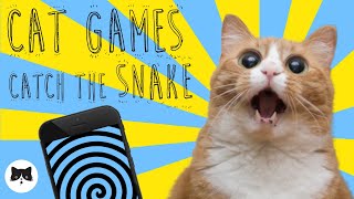 CAT GAMES - Entertaining Videos for Cats - CATCH THE SNAKE by Games For Cats 639 views 4 years ago 10 minutes, 54 seconds