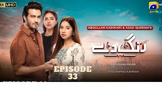 Rang De Mega Episode 33 [Eng Sub] Shahzad Sheikh - Sabeena Farooq - Azfar Rahman - Review
