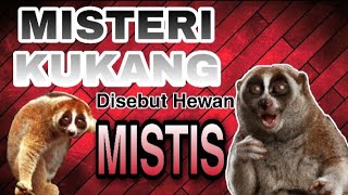 MISTERI KUKANG SEBAGAI HEWAN MISTIS😱😱 ( Satwa Liar yang di Lindungi di Indonesia )