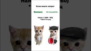 Режимы налогообложения ИП