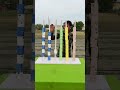 Match the colour ball challenge #shorts