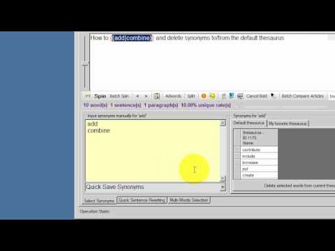 SpinnerChief Tutorial - Add And Delete Synonyms