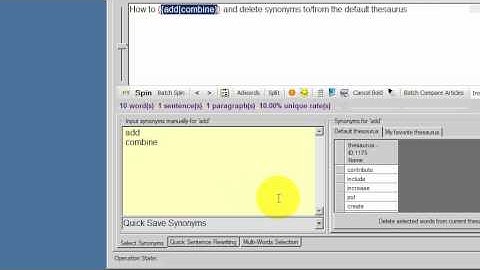 SpinnerChief Tutorial - Add And Delete Synonyms