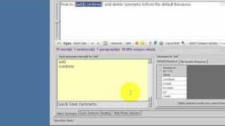 SpinnerChief Tutorial - Add And Delete Synonyms