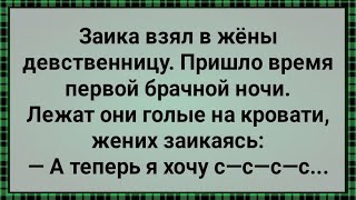 Девственница Вышла Замуж За Заику! Сборник Свежих Анекдотов! Юмор!