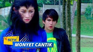 Highlight Monyet Cantik 2 - Episode 12