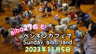 aiboが最多27匹集まったペンギンカフェのSunday aibo land