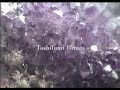Toshifumi Hinata – ISIS (Official Music Video)