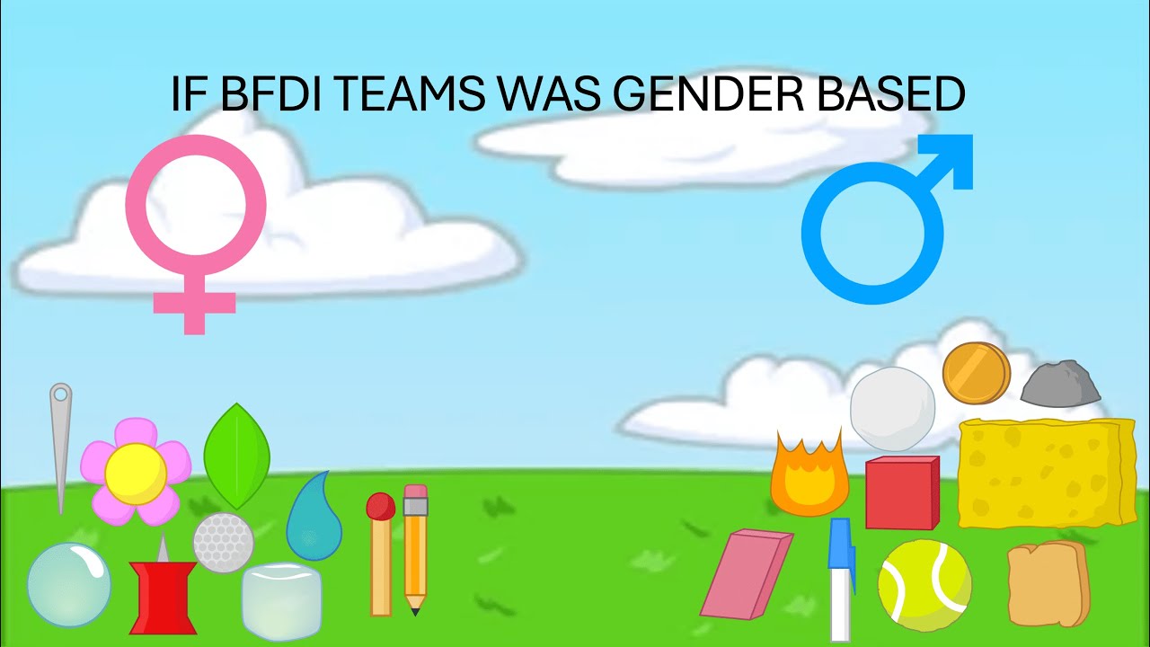 What if BFDI teams was gender based