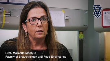 Prof.  Marcelle Machluf Technion direct delivery Cancer therapy