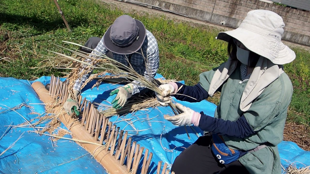 これ、社会の教科書で見た！「足踏み脱穀機」と「千歯扱き」での脱穀
