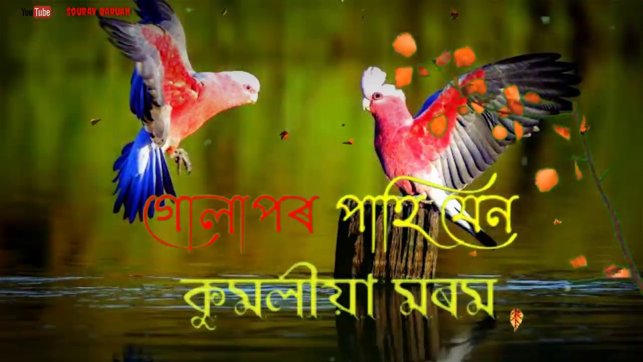 Assamese whatsApp status video... - YouTube