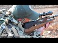 Airgun Hunting: Guinea Fowl Shooting in South Africa