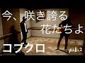 今、咲き誇る花たちよ - コブクロ ( NHKソチ五輪テーマソング ) Yo1ko2 Cover