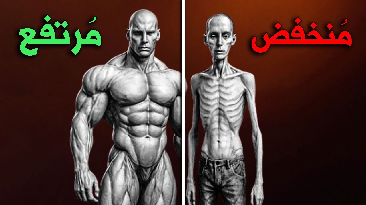 انفجار التيستوستيرون: 9 علامات قوية تدل أنه لديك تيستوستيرون عالي ومرتفع بنسبة 300% في جسمك