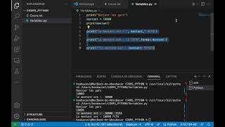 Cours Python #3 Les instructions de base