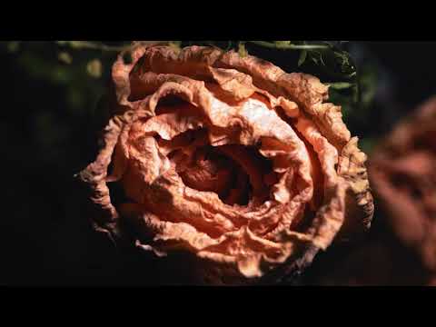 Karndean Commercial UK | Art Select. A story of excellence | Onyx - video from Karndean
