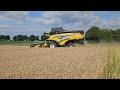 TARWE OOGSTEN in Herkenbosch #newholland #newhollandharvester