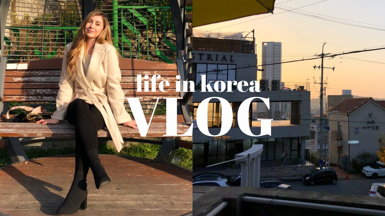 VLOG: корейский день в моей жизни ☕🚌 исследую Чхонджу - VLOGMAS
