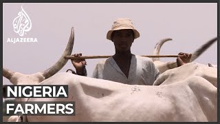 Download Lagu Nigeria sees solution to conflict between farmers MP3