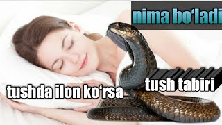 тушда илон курса нима булади | tushda ilon ko'rsa