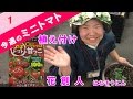 プランターで作るミニトマト01ベランダでも簡単ぐるぐる仕立て/植え付け
