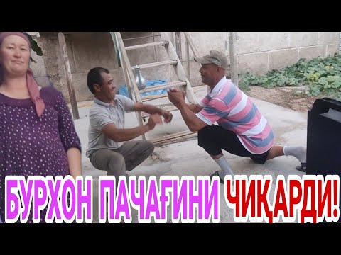 ТЕЗКОР!КАМАЗ ДАДА ХАММАНИ ДАБДАЛА ҚИЛДИ!!!