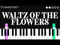 Tchaikovsky - Waltz of the Flowers | EASY Piano Tutorial