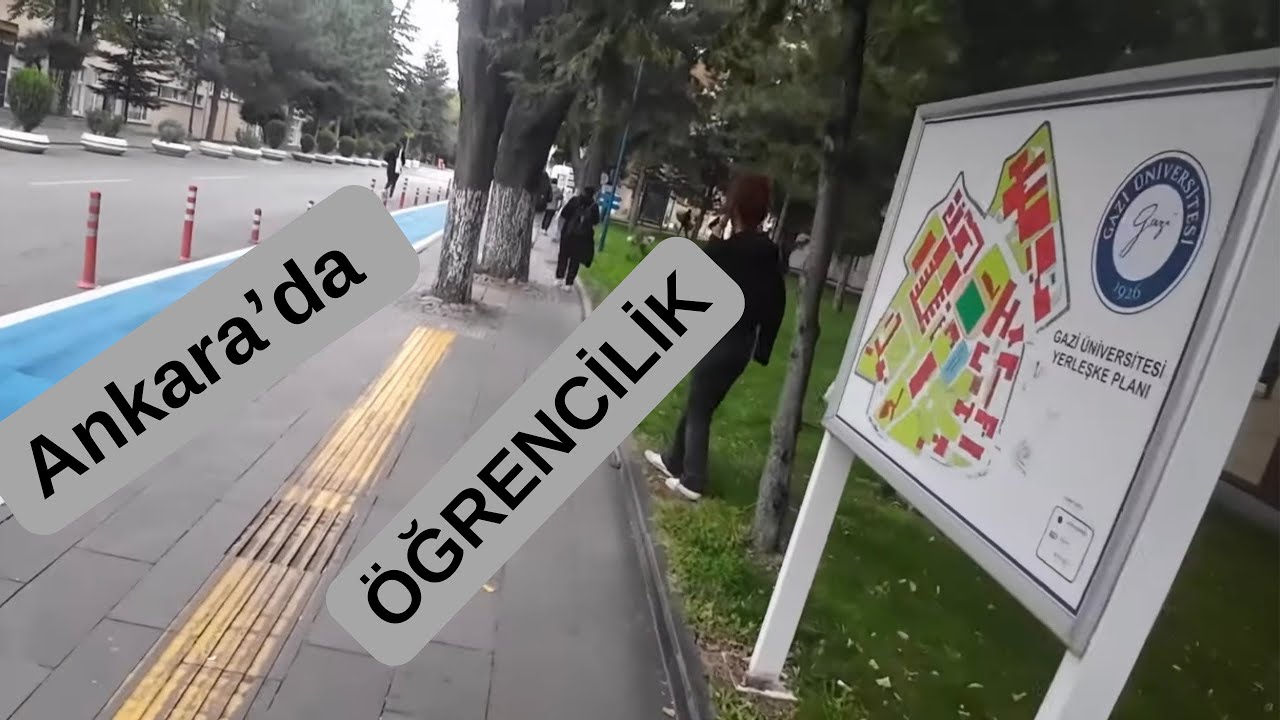 Doktora Başlıyor, Üniversite Yollları