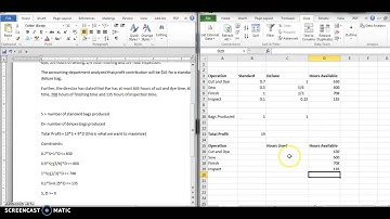 Linear Optimization Model