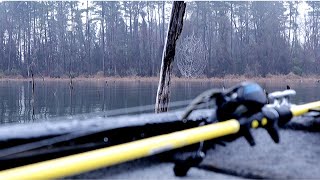 Brandy Branch Reservoir Fishing late Fall || Tons of fish caught