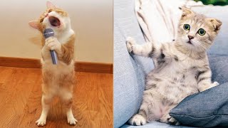 Try Not To Laugh or Grin While Watching Funny Animals Compilation #5