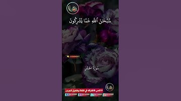 #تلاوة_صوت_جميل_عذب #القرآن_الكريم #دار_القرآن #اكسبلور #duet #dar_alkoran #دويتو #راحة_نفسية