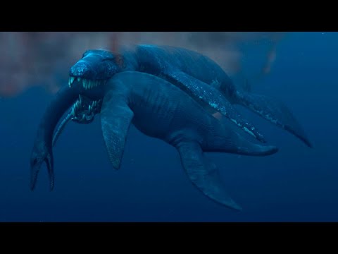 Video: Alligatorhecht - prähistorisches Monster und einzigartige Trophäe