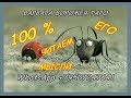 100% читаем его мысли.. Онлайн-гадание! Общий ТАРО расклад!