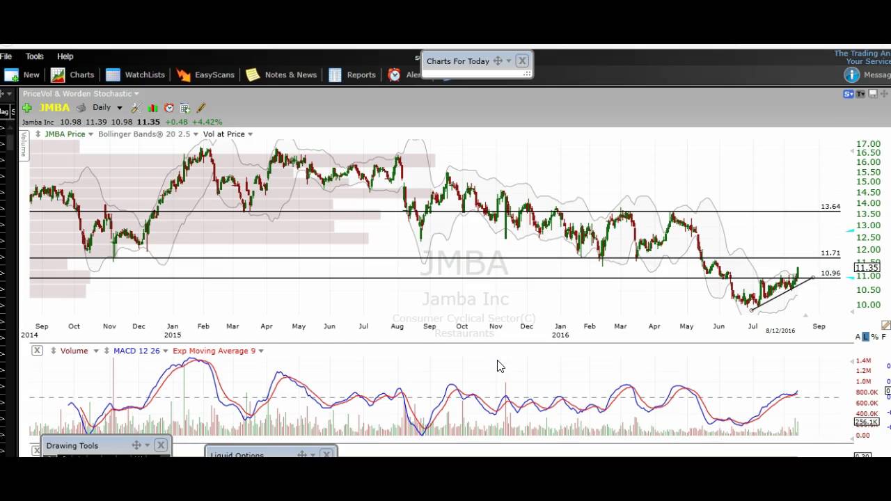 Hain Stock Chart