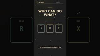 Linux Permissions: Who can do what