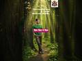 दिल दिल ये दिल | #short videos|#ytshort|#hindi shorts#love #romanticsong
