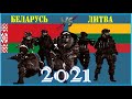 Беларусь VS Литва 🇧🇾 Армия 2021 🇱🇹 Сравнение военной мощи