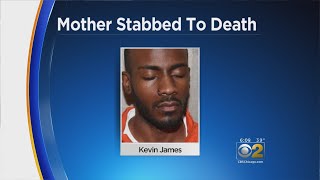 Naperville Man Accused Of Killing His Mother